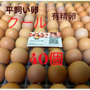 「クール便」平飼い卵 もみじ卵 40個の商品画像