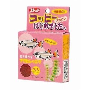 [イトスイ] コメット コッピーはじめました 5g