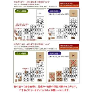 胡蝶蘭 大輪7本立ち77輪以上【送料無料】選べ...の詳細画像4