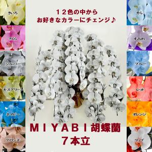12色展開 MIYABI 胡蝶蘭7本立ち91輪以上つぼみ込み【送料無料】最短翌々日出荷