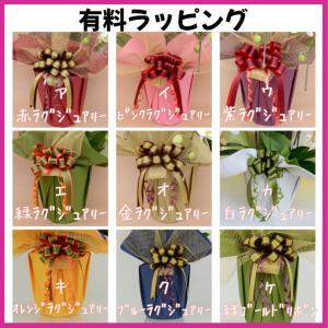 胡蝶蘭 大輪 8本立ち 80輪以上【送料無料】...の詳細画像3