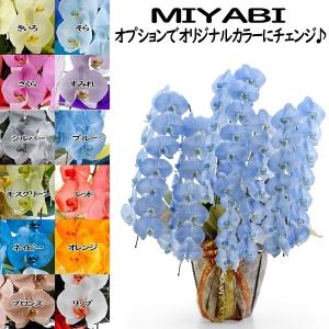 12色展開 MIYABI 胡蝶蘭5本立ち70輪以上つぼみ込み【送料無料】最短翌々日出荷