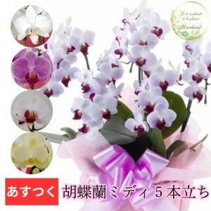 KPMベルリン 白磁 フラワーベース ローズ 高さ約17.5cm 新品 在庫限り