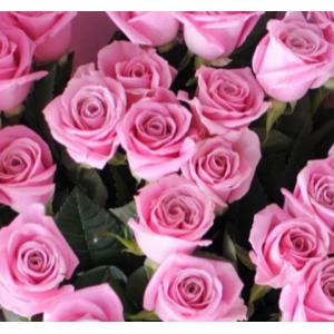 大輪バラ200本の花束【送料無料】お祝・誕生日...の詳細画像3