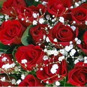 大輪バラ200本の花束【送料無料】お祝・誕生日...の詳細画像5