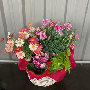おまかせ季節のお花のフラワーバスケット【送料無...の詳細画像1