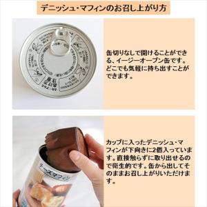 イザメシ チョコデニッシュ 5缶セット (長期...の詳細画像2