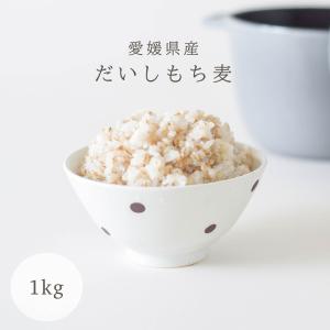 もち麦 だいし 1kg 雑穀 お米のまるひ マルヒ マルヒ食糧 国産 ダイシモチ ヘルシー 腸活 食物繊維 スーパーフード ダイエット