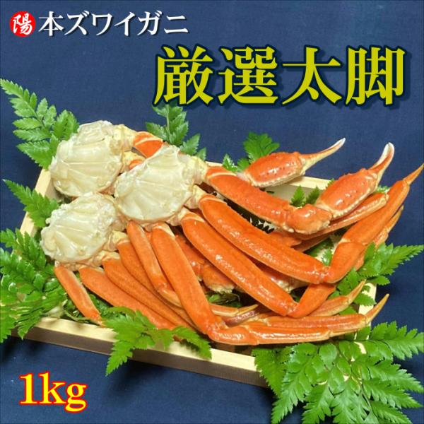 本ズワイガニ脚 ボイル済み 1kg 3肩〜5肩前後 送料無料 蟹 かに カニ 特大 最高級 冷凍 海...