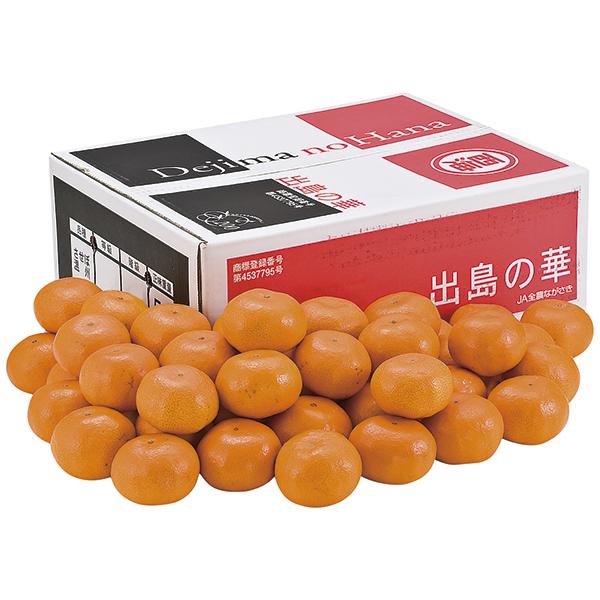 させぼ温州みかん「出島の華」 ND‐M P50