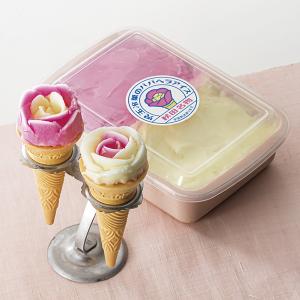 バレンタイン チョコ 2026 フィリップ・ベル クラッカウエット : 丸広