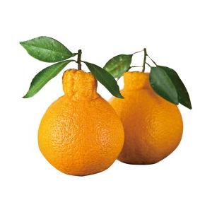 ［熊本］味咲 葉つき不知火（汐でこ）