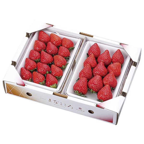 真心農園 まなこころ とちおとめ「楓」 MA‐2 P13