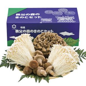 お歳暮 御歳暮 ギフト 秩父の森のきのこセット 産地直送商品