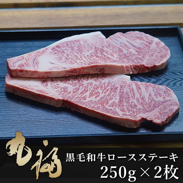 兵庫県産淡路和牛 ステーキ サーロイン 500g (250g×2枚) 黒毛和牛サーロインステーキ 冷...