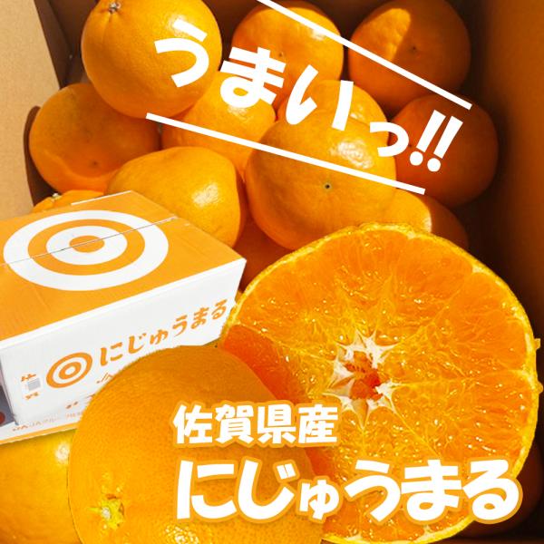 佐賀県産　にじゅうまる　1.8キロ前後　優品　簡易箱　ジューシーな果汁とプチッとした食感、高い糖度と...