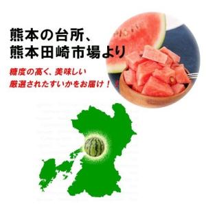 すいか 5キロ〜 1玉入り 旬の産地 秀品の詳細画像2