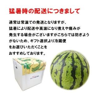 すいか 5キロ〜 1玉入り 旬の産地 秀品の詳細画像3