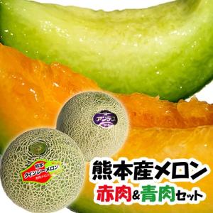 赤肉＆青肉　２玉入り　お試し　セット 熊本産  箱込　約１．５キロ前後