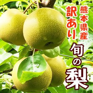 訳あり　梨　５キロ前後　ご家庭用　贈答用不可
