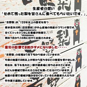 やつしろ応援企画 熊本県 吉野梨 2キロ前後 ...の詳細画像2