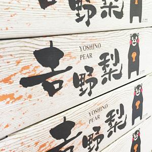 やつしろ応援企画 熊本県 吉野梨 2キロ前後 ...の詳細画像3