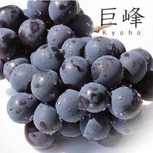 種無し巨峰　4パック入り　葡萄　ぶどう　秀品　九州産