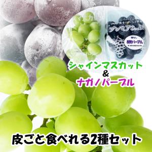 種無し巨峰 8パック入り 葡萄 ぶどう 秀品 九州産 : 厳選フルーツ