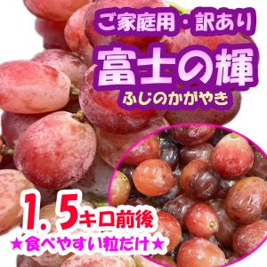 富士の輝　粒だけ　1.5キロ前後　ふじのかがやき　ご家庭用　訳あり　国産　