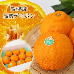 長崎産 ”マルナンデコポン” 秀品 6〜10玉 約3kg【予約 12月以降】 送料