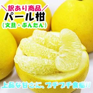 訳あり　パール柑　約４キロ　ご家庭用　文旦　熊本産