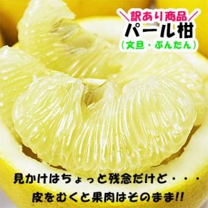 訳あり パール柑 約4キロ ご家庭用 文旦 熊本産の詳細画像1