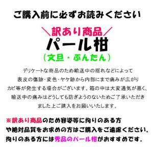 訳あり パール柑 約4キロ ご家庭用 文旦 熊本産の詳細画像3