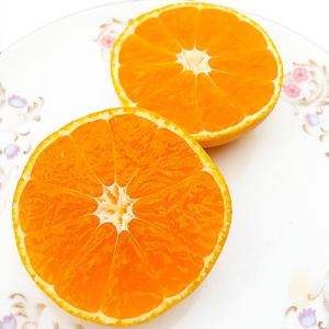 訳あり 小玉みかん 約10キロ 熊本産 蜜柑 ...の詳細画像5