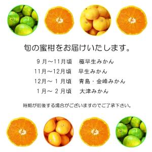 訳あり 小玉みかん 約10キロ 熊本産 蜜柑 ...の詳細画像1
