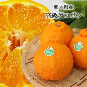 デコポン 小玉 約5キロ前後 20玉〜24玉 熊...の商品画像