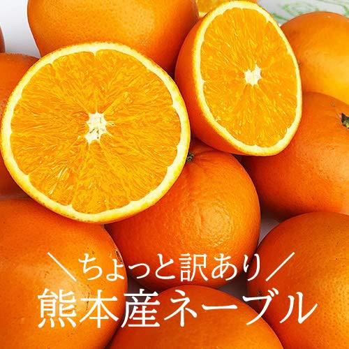 訳あり　ネーブル　約１０キロ　熊本産　ご家庭用　ネーブルオレンジ　国産　贈答用不可