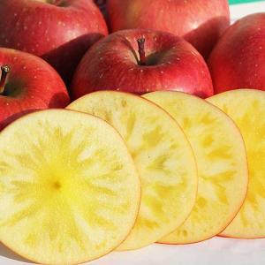 りんご❣️ 長野県 安曇野市＆JAあづみ『りんご』トップセールス 2024 - 東京青果