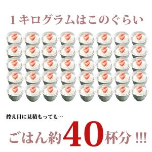 石巻加工 本格たらこ1kg 訳ありじゃない一本...の詳細画像3