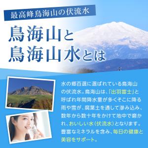 国産 ミネラルウォーター 500mI 24本入...の詳細画像2