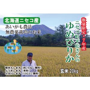 オーガニック 【7年産】あいがも農法 無農薬 10キロ 送料無料 北海道産
