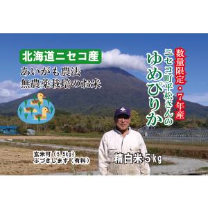 【新米入荷】8年産 あいがも農法 無農薬 5キロ...の商品画像