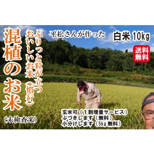 【新米入荷】混植栽培 神様のブレンド 白米 10キロ 精米無料 ニセコ町 5キロ小分け無料 ぶづき可...