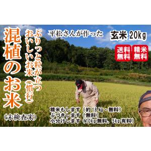 混植】【陸稲】混植栽培 愛称 ほしひめ 玄米 20キロ 精米無料 共和町