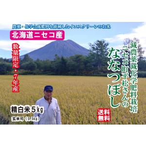 オーガニック 【7年産】あいがも農法 無農薬 10キロ 送料無料 北海道産