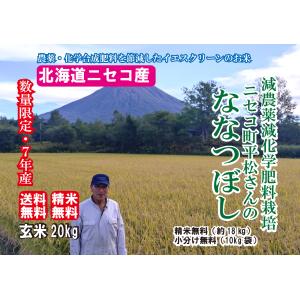 シンデレラ 20キロ精米し、小分け 混植】【陸稲】混植栽培 愛称 ほしひめ 玄米 20キロ 精米無料 共和町