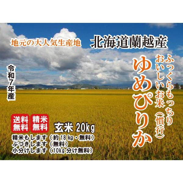 新米入荷【7年産】 20キロ JAようてい 蘭越産 北海道米 らんこし米 ゆめぴりか 玄米 おいしい...
