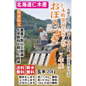シンデレラ 20キロ精米し、小分け 混植】【陸稲】混植栽培 愛称 ほしひめ 玄米 20キロ 精米無料 共和町