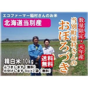 【完売御礼】元年産　北海道米　当別産　おぼろづき　10キロ　ぶづき無料　小分け無料　稲村農場