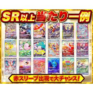 【ギフトラッピング済み】豪華絢爛!夢のお楽しみ...の詳細画像2